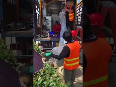 Bezwykopowa podziemna naprawa rur Kanalizacja publiczna Sprzęt do utwardzania ultrafioletem bez kopania